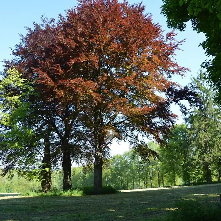Beautiful Holiday In Durbuy With Garden Hébergement de vacances *